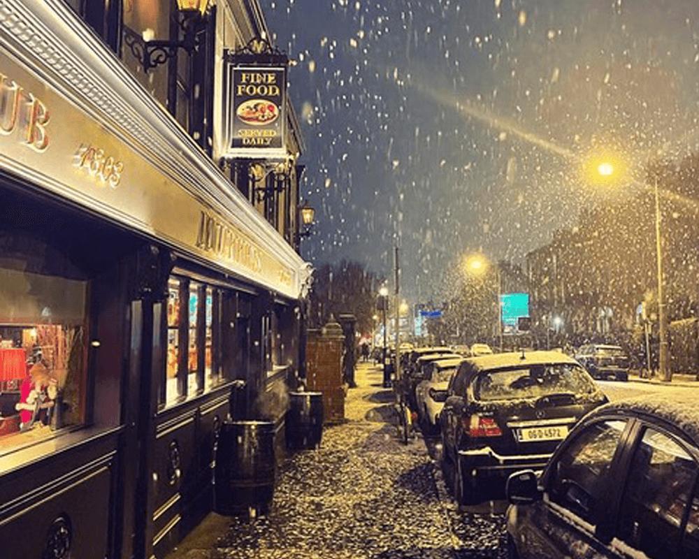 Murphys Christmas Web pic
